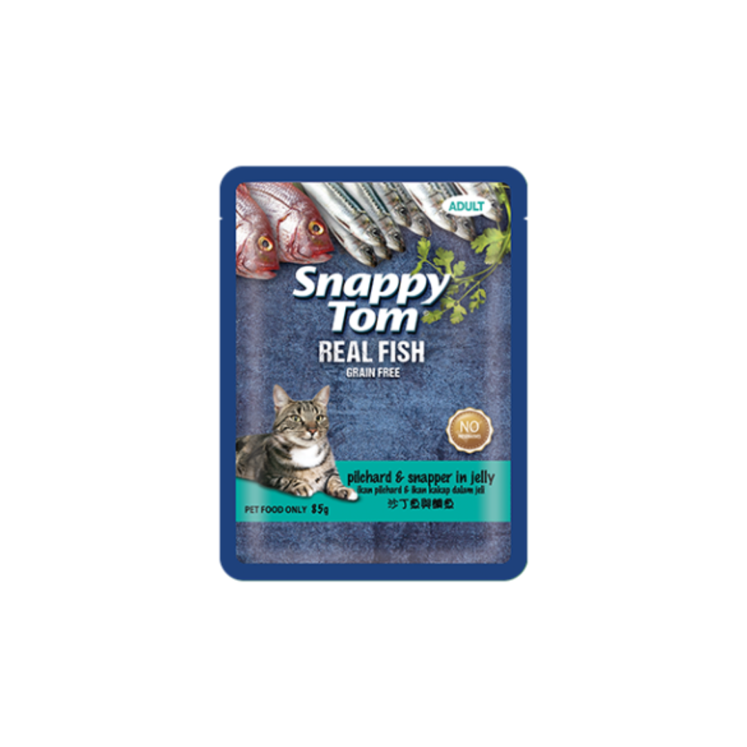 Snappy Tom Pilchard & Snapper in Jelly