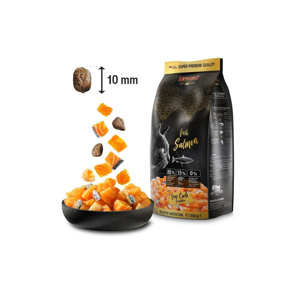 Leonardo Fresh Salmon