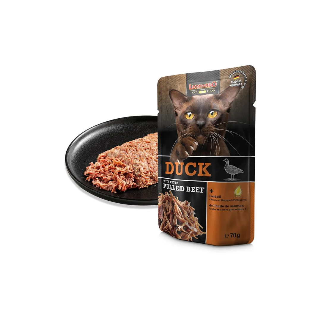 Leonardo Duck with Pulled Beef